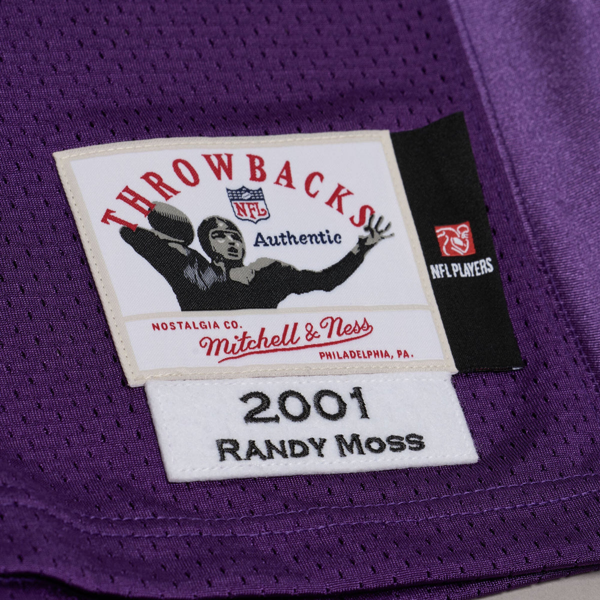 Men's Minnesota Vikings Randy Moss Purple 2001 Throwback Jersey