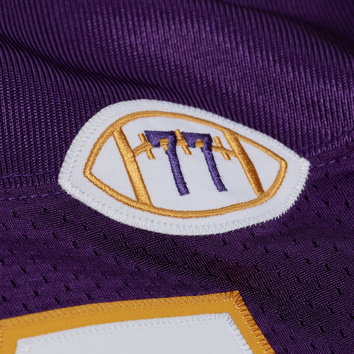 Men's Minnesota Vikings Randy Moss Purple 2001 Throwback Jersey