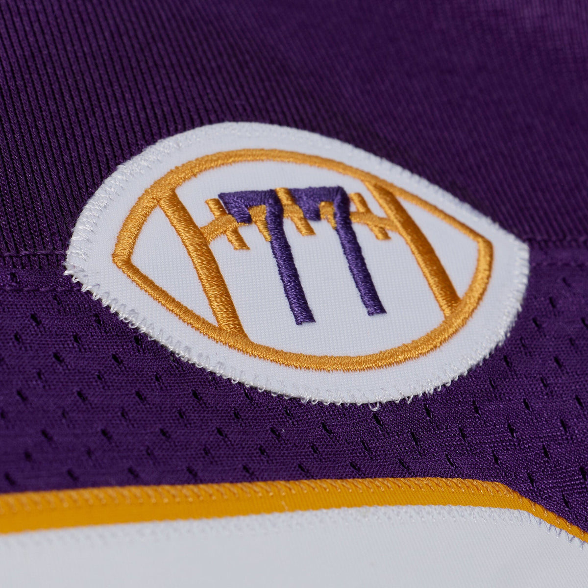 Men's Minnesota Vikings Cris Carter Purple 2001 Throwback Jersey